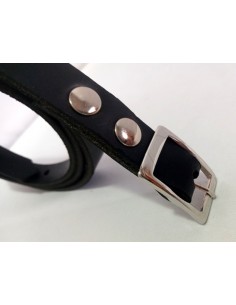 Cintura Petit Classic 2